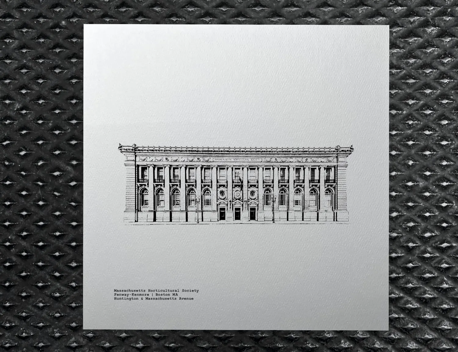 Massachusetts Horticultural Society illustration by cityartprints.com