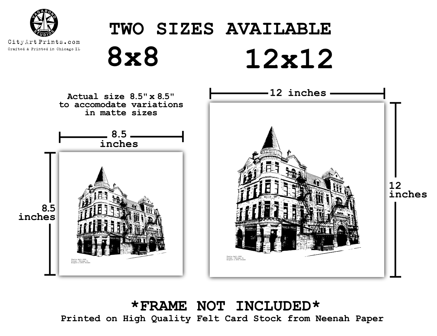 Thalia Hall Pilsen Chicago Graphic Art Print illustration by cityartprints.com